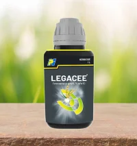 PI-Legacee